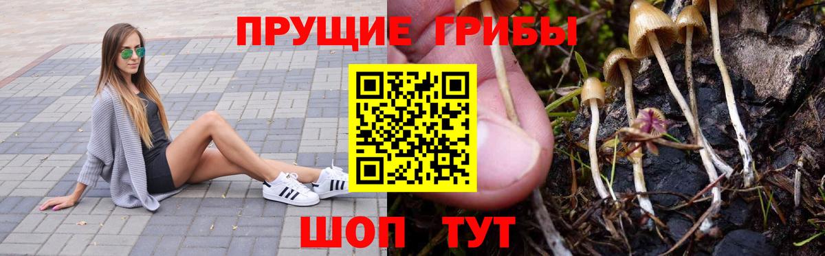 Галлюциногенные грибы MAGIC MUSHROOMS Боровичи