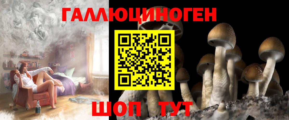 Галлюциногенные грибы Psilocybe  Вход с VPN  Псилоцибиновые грибы Psilocybe  Боровичи 